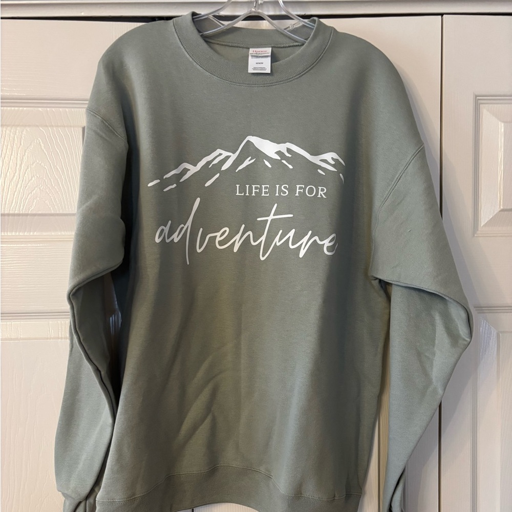 Hanes Men's Crewneck Sweatshirt- Sage Green